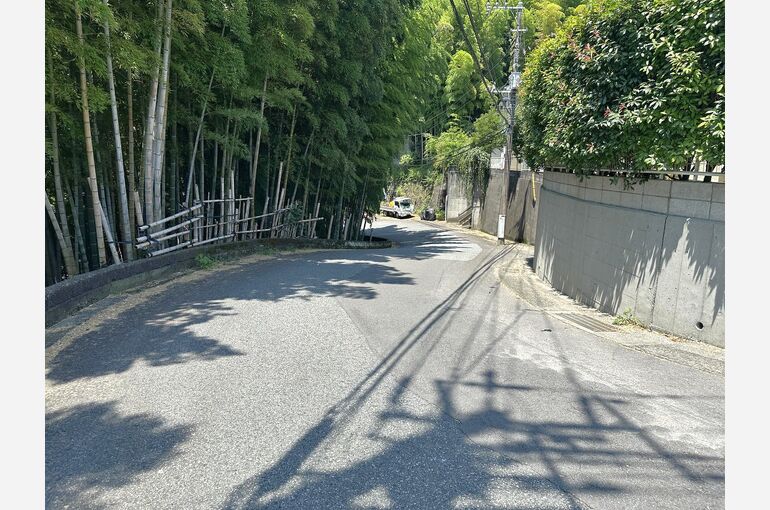 道路