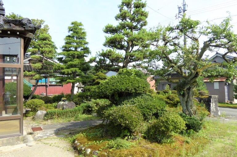 庭