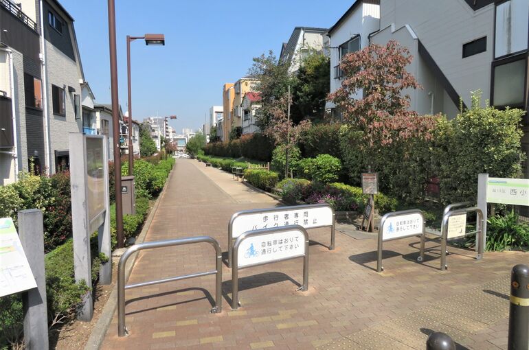 緑道2