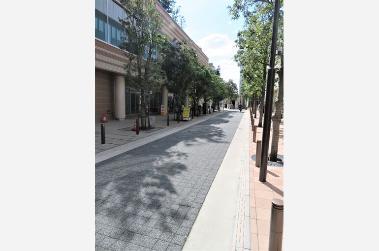 道路