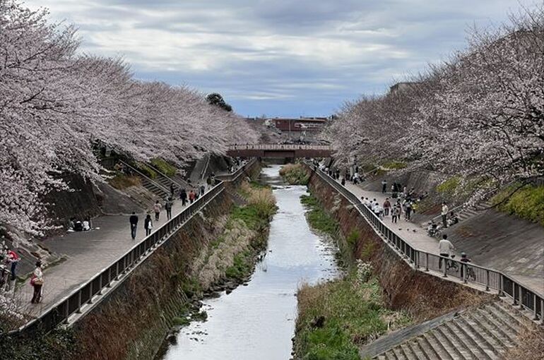 石神井