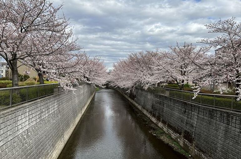 石神井