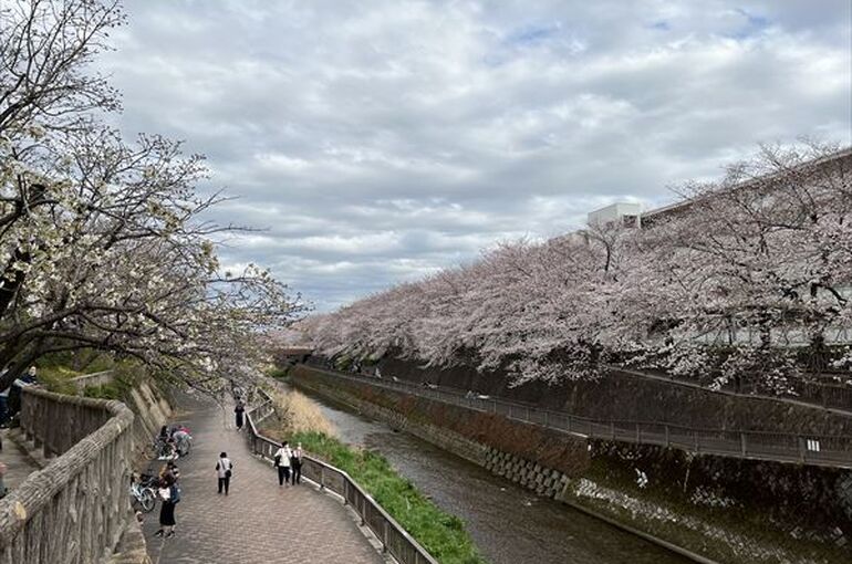 石神井