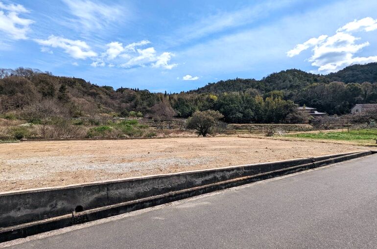 現地写真3