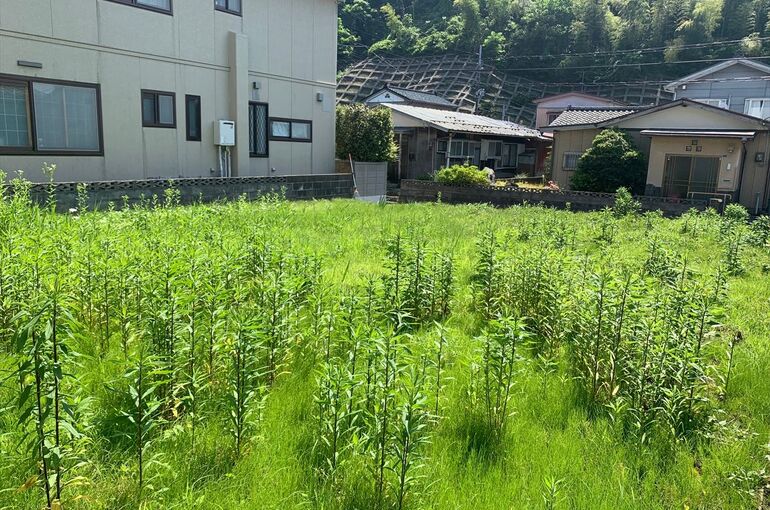 現地