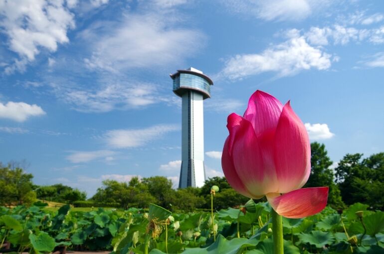 行田市