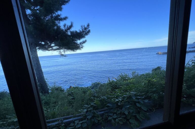 景色