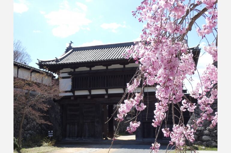 小諸市